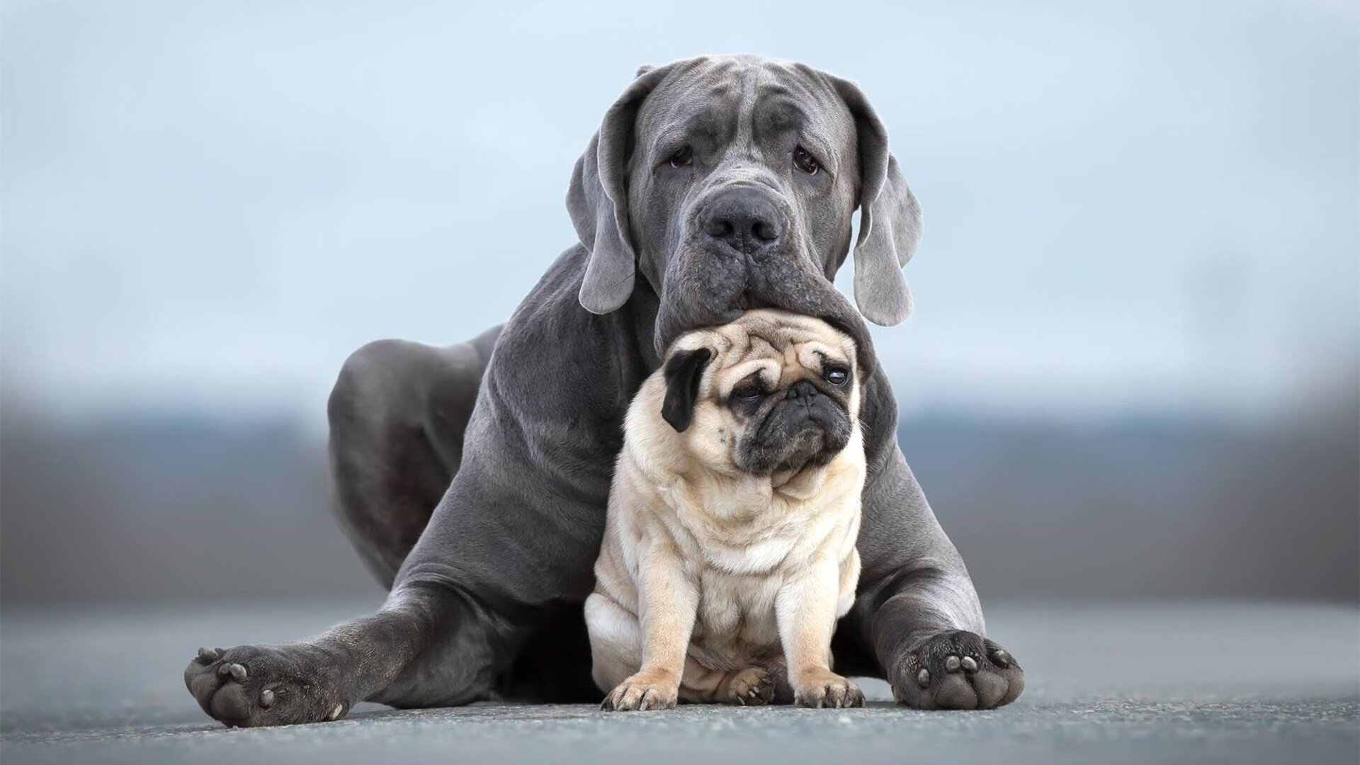 开云·体育官网-影响深远:全球青少年篮球培训的“新风向”,青少年篮球培训市场现状