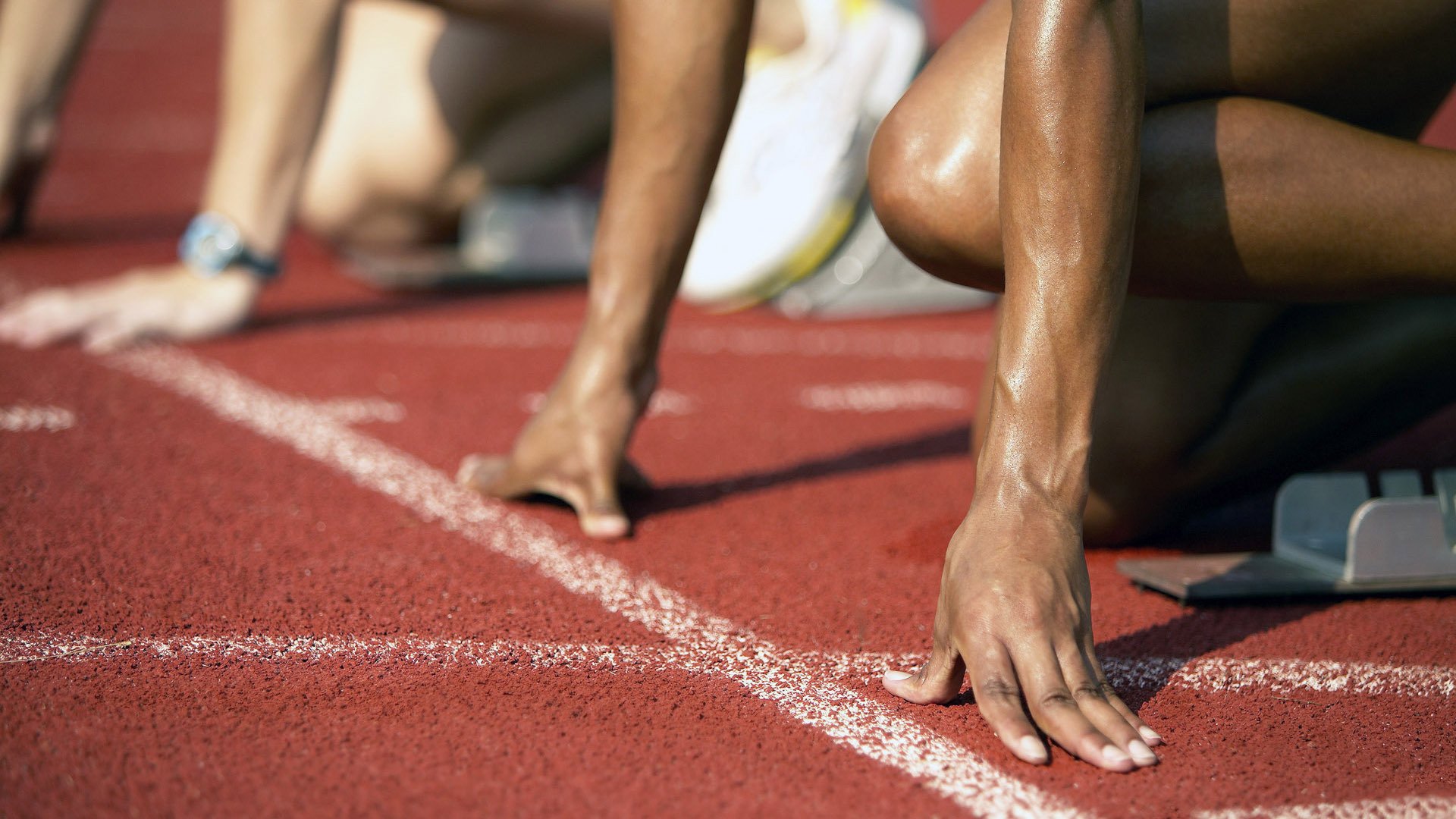 kaiyun开云·官方网站-体育新闻中心通报国家体育图书馆资源向社会开放，国家体育馆有限责任公司